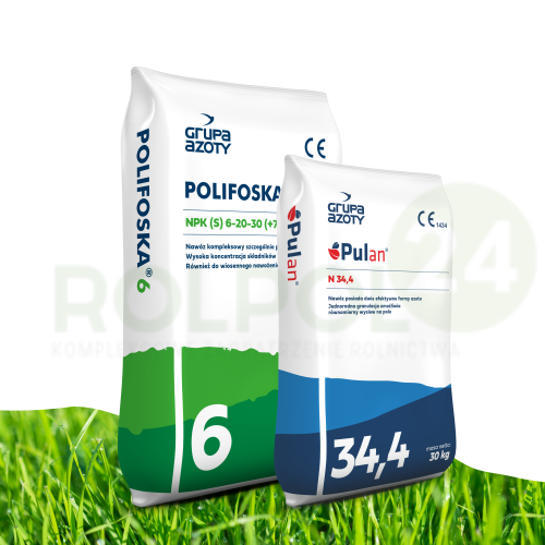 wiosenny duet idealny.png